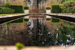 alpaca-farm-and-gardens-18