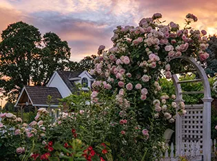 Oakwood-Gardens-IG
